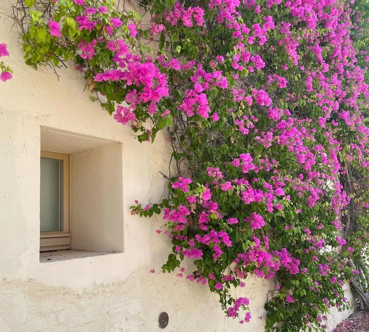 Holiday home Rustic House With 2 Pools In A Monastery Villa Tavira